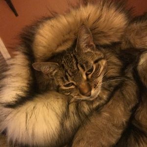 Meet your Posher, April